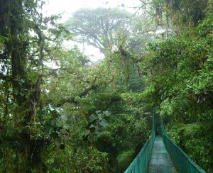 P1020238 (2) - small