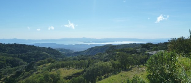 P1020257 (2) - small