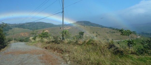 P1020275 (2) - small