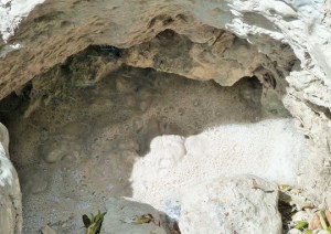 Rincon - cold water pot