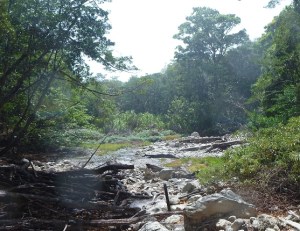 Rincon - cold water pots