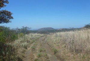 Rincon - path to waterfall