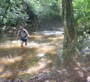 Rincon - wading river
