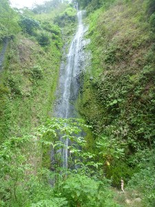 Ometepe 2 - San Ramon